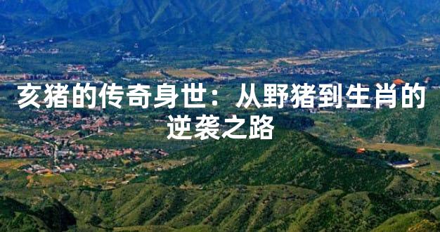 亥猪的传奇身世：从野猪到生肖的逆袭之路
