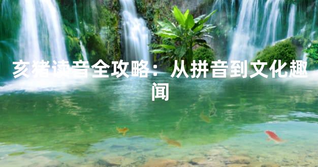 亥猪读音全攻略：从拼音到文化趣闻