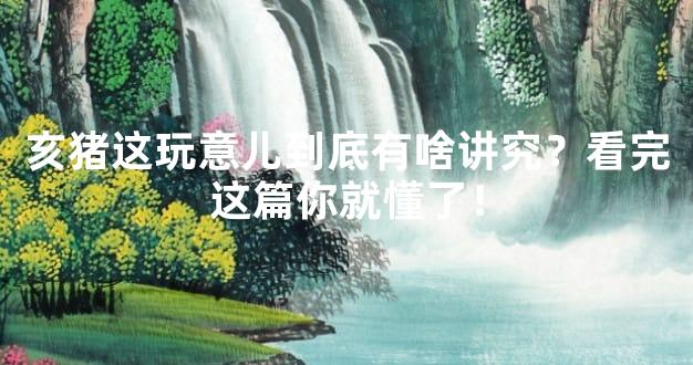 亥猪这玩意儿到底有啥讲究？看完这篇你就懂了！