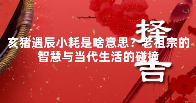 亥猪遇辰小耗是啥意思？老祖宗的智慧与当代生活的碰撞