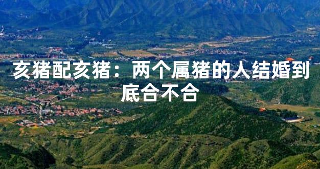 亥猪配亥猪：两个属猪的人结婚到底合不合