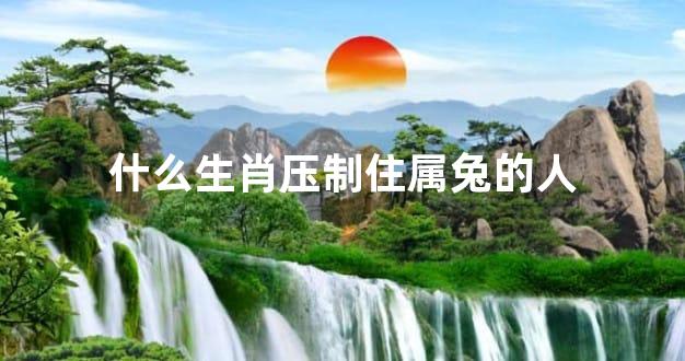 什么生肖压制住属兔的人