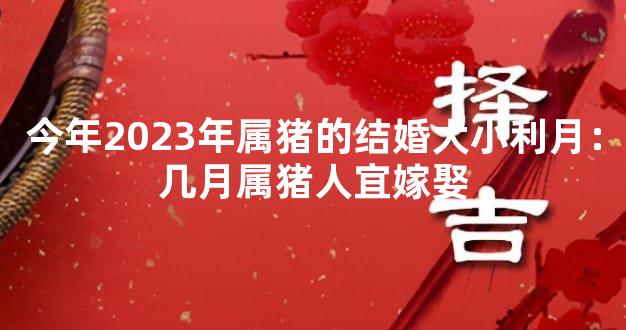 今年2023年属猪的结婚大小利月：几月属猪人宜嫁娶
