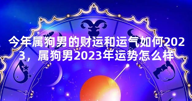 今年属狗男的财运和运气如何2023，属狗男2023年运势怎么样