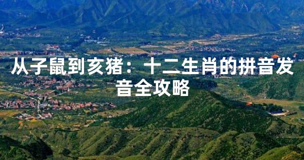 从子鼠到亥猪：十二生肖的拼音发音全攻略