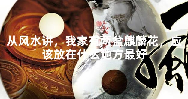 从风水讲，我家有两盆麒麟花，应该放在什么地方最好