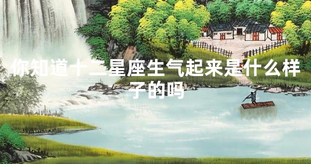 你知道十二星座生气起来是什么样子的吗