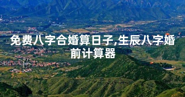 免费八字合婚算日子,生辰八字婚前计算器