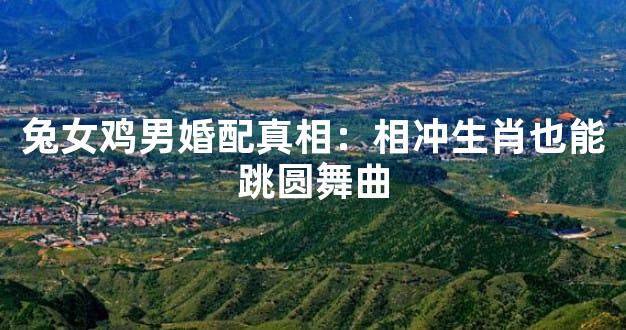 兔女鸡男婚配真相：相冲生肖也能跳圆舞曲