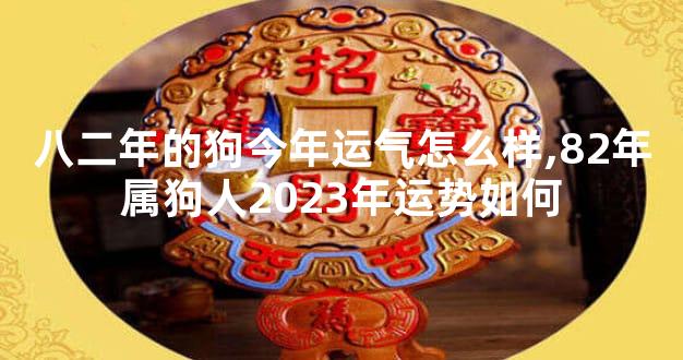八二年的狗今年运气怎么样,82年属狗人2023年运势如何