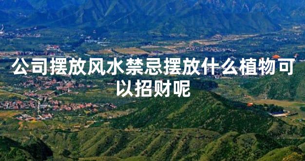 公司摆放风水禁忌摆放什么植物可以招财呢