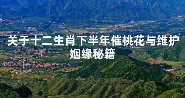 关于十二生肖下半年催桃花与维护姻缘秘籍