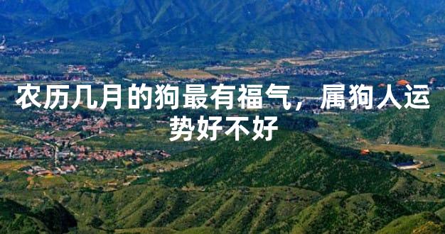 农历几月的狗最有福气，属狗人运势好不好