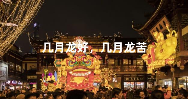 几月龙好，几月龙苦