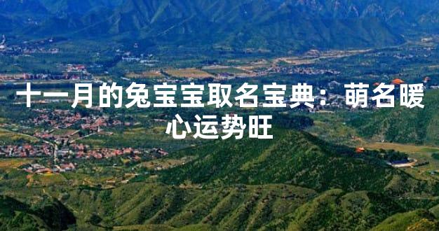 十一月的兔宝宝取名宝典：萌名暖心运势旺