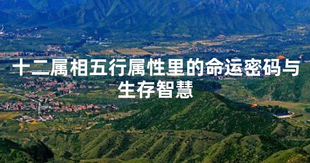 十二属相五行属性里的命运密码与生存智慧