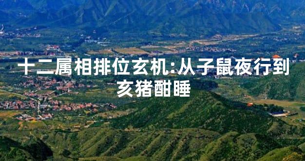 十二属相排位玄机:从子鼠夜行到亥猪酣睡