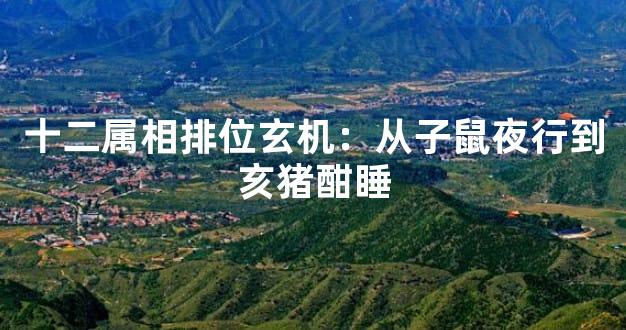 十二属相排位玄机：从子鼠夜行到亥猪酣睡