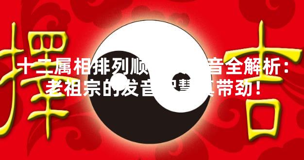 十二属相排列顺序表拼音全解析：老祖宗的发音智慧真带劲！
