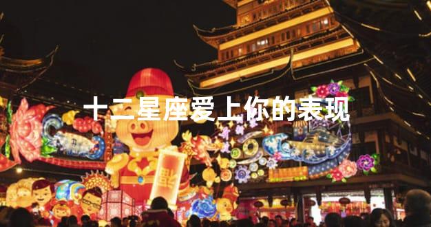 十二星座爱上你的表现