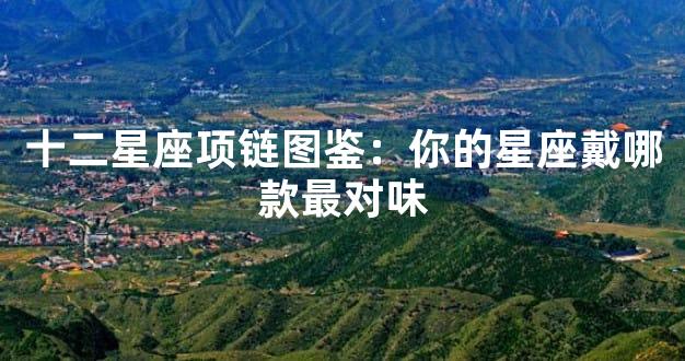 十二星座项链图鉴：你的星座戴哪款最对味