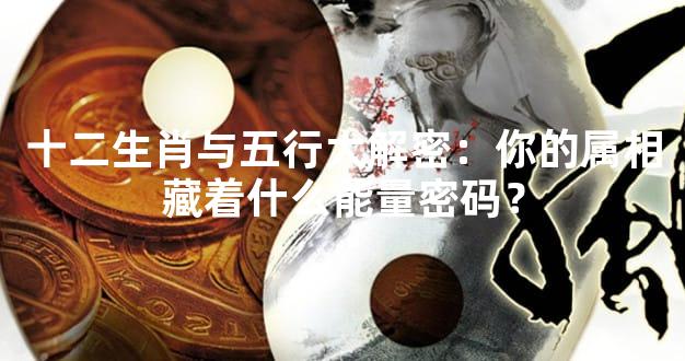 十二生肖与五行大解密：你的属相藏着什么能量密码？