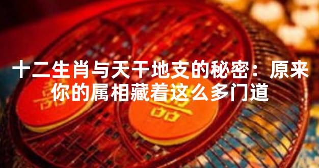 十二生肖与天干地支的秘密：原来你的属相藏着这么多门道