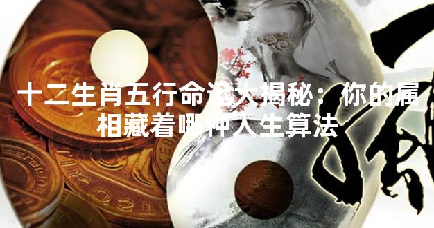 十二生肖五行命运大揭秘：你的属相藏着哪种人生算法