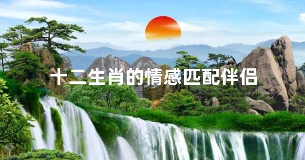 十二生肖的情感匹配伴侣