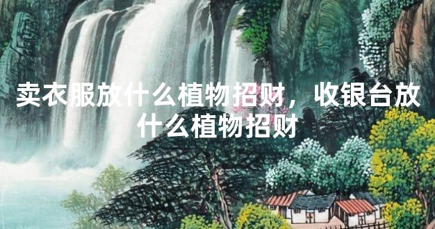 卖衣服放什么植物招财，收银台放什么植物招财
