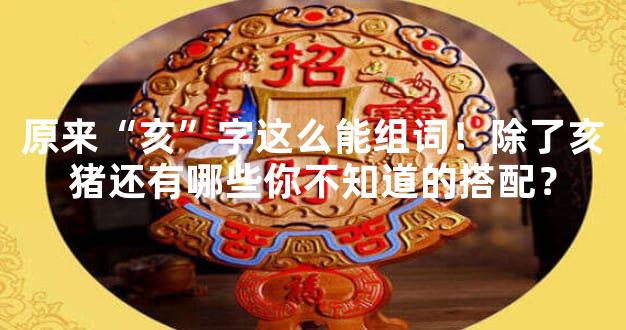 原来“亥”字这么能组词！除了亥猪还有哪些你不知道的搭配？