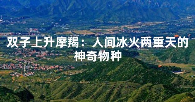双子上升摩羯：人间冰火两重天的神奇物种