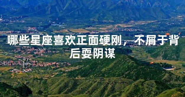 哪些星座喜欢正面硬刚，不屑于背后耍阴谋