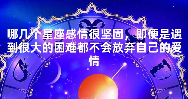 哪几个星座感情很坚固，即便是遇到很大的困难都不会放弃自己的爱情