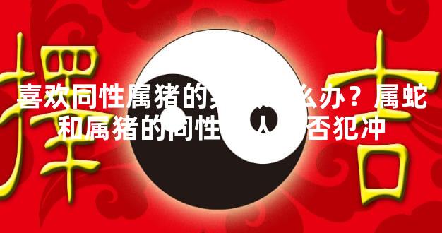 喜欢同性属猪的男人怎么办？属蛇和属猪的同性别人是否犯冲