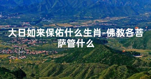 大日如来保佑什么生肖-佛教各菩萨管什么