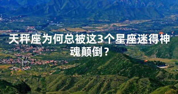 天秤座为何总被这3个星座迷得神魂颠倒？