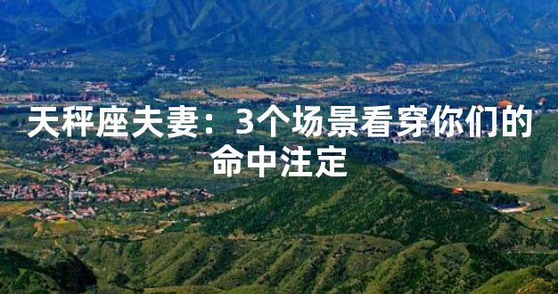 天秤座夫妻：3个场景看穿你们的命中注定