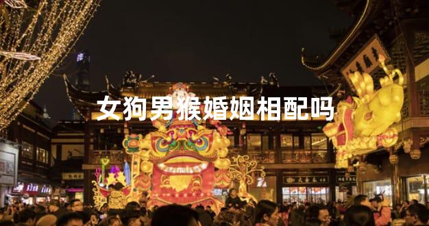 女狗男猴婚姻相配吗
