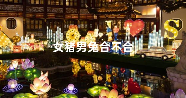 女猪男兔合不合