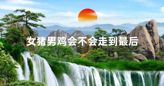 女猪男鸡会不会走到最后