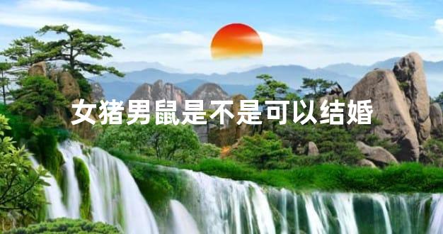 女猪男鼠是不是可以结婚