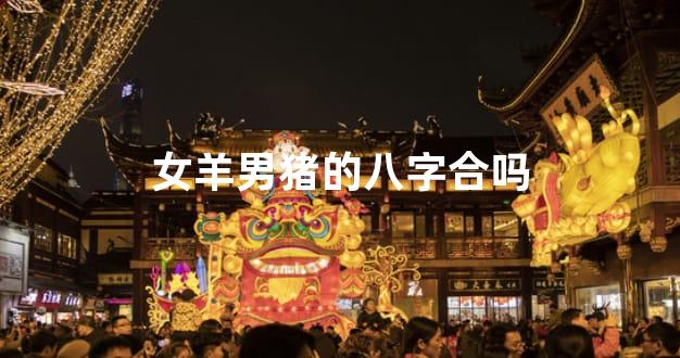 女羊男猪的八字合吗