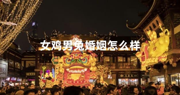 女鸡男兔婚姻怎么样