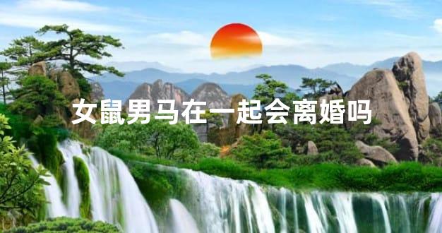 女鼠男马在一起会离婚吗