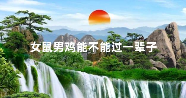 女鼠男鸡能不能过一辈子