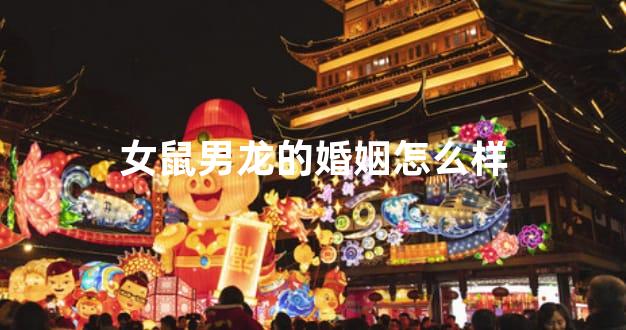 女鼠男龙的婚姻怎么样