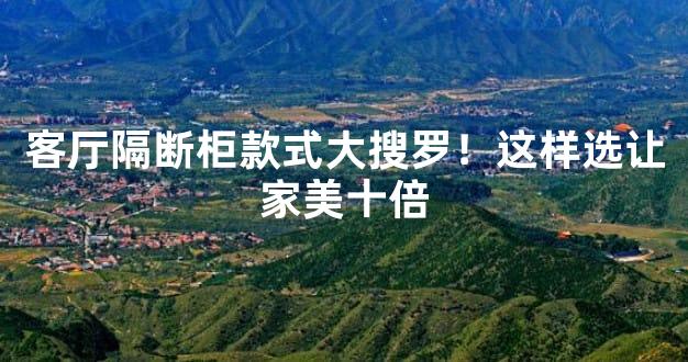 客厅隔断柜款式大搜罗！这样选让家美十倍