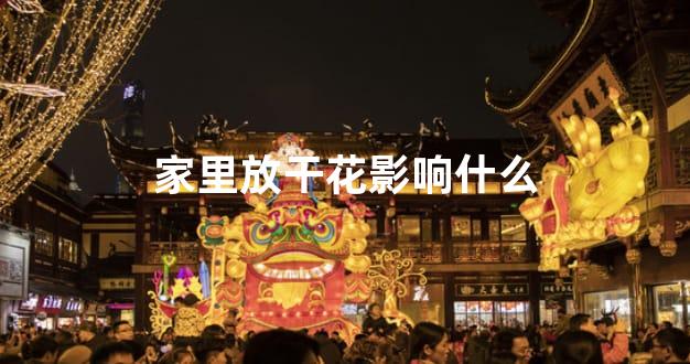 家里放干花影响什么