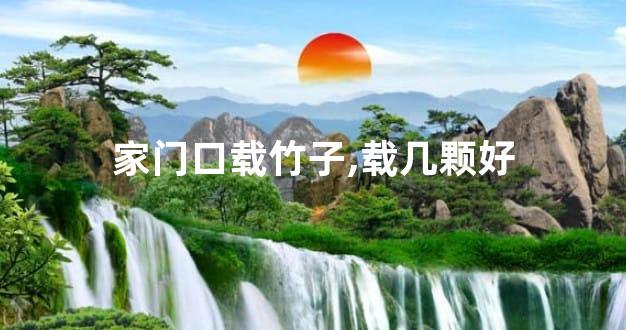 家门口载竹子,载几颗好
